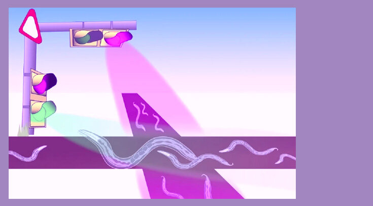   Osaka Metropolitan University