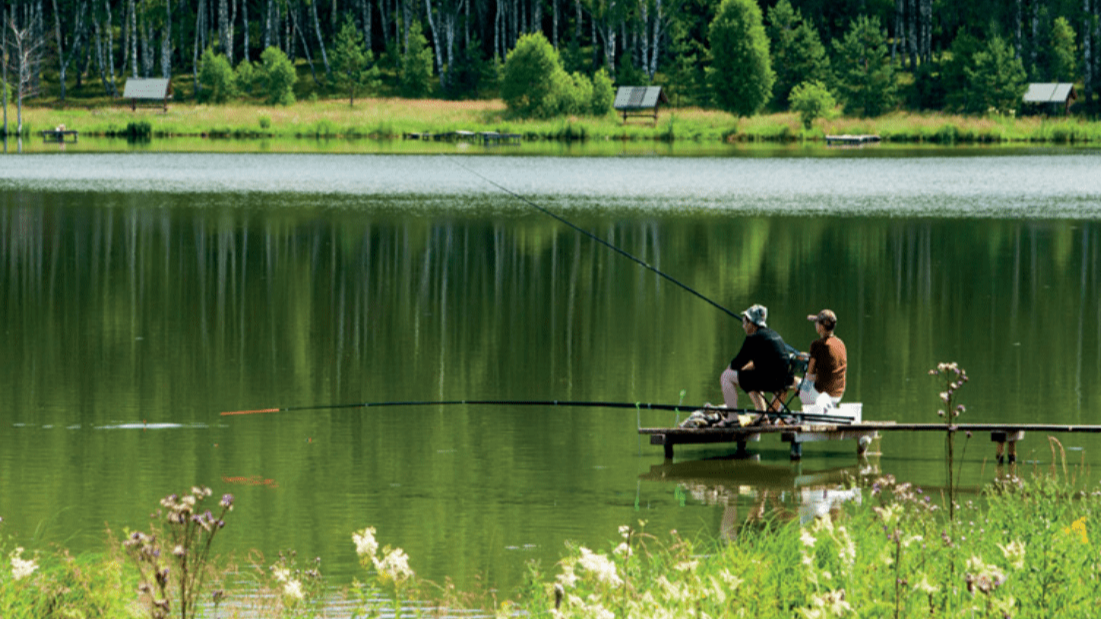 Рыбалка Пирогово Мытищи. Рыбалка и отдых в Нижегородской области. Рыбалка нижний новгород и область в контакте