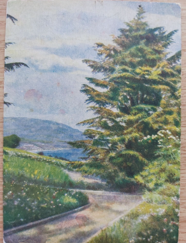 Видовая открытка 30-х гг.