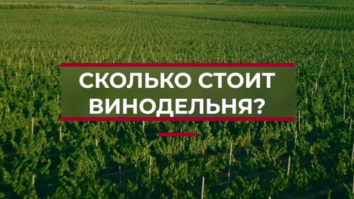 Сколько стоит построить винодельню?