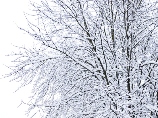     Фото: Вадим Боченков
