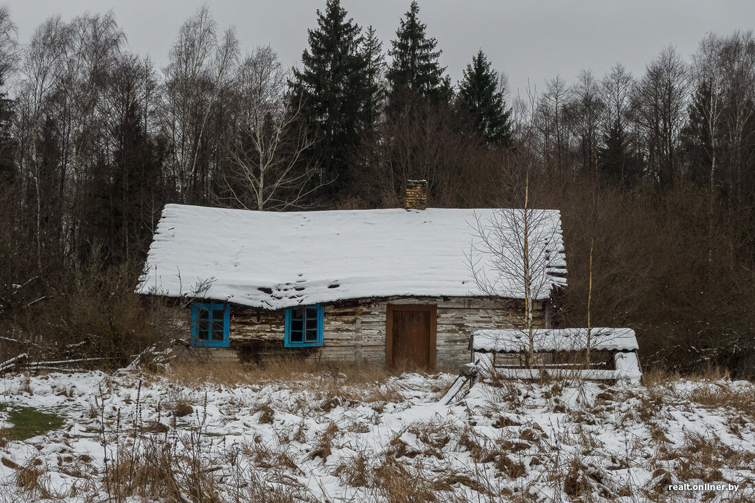 Цена вопроса — 32 рубля. Купила дом в гродненской глуши за одну базовую и  счастлива | Новости Гродно s13.ru | Дзен