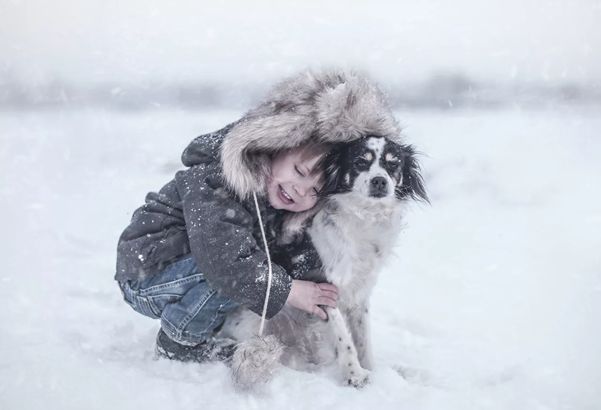 фото из интернета