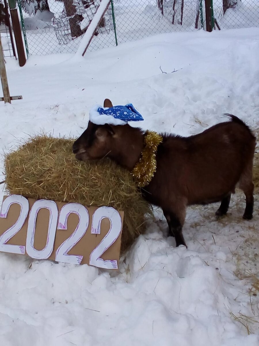 Доедаем уходящий год!