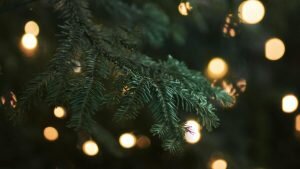    Фото: Morgane Le Breton / unsplash.com Константин Бухтатов