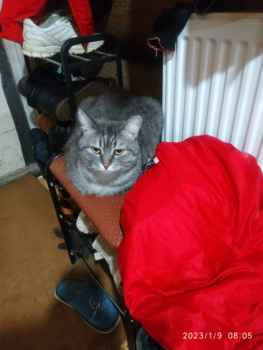 А это кто?))))))))