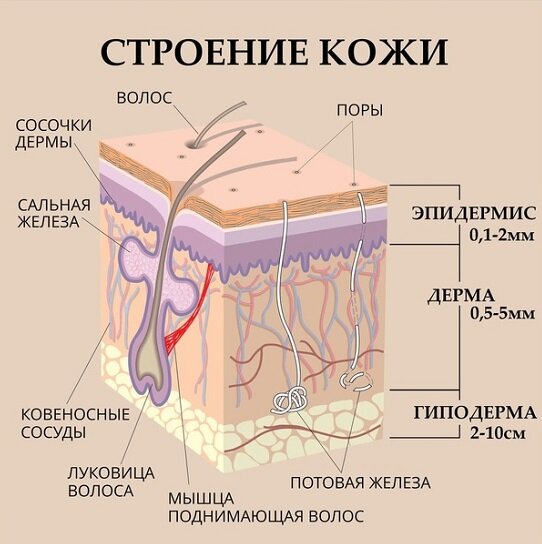 Что будет,если долго не мыть голову? | Жиза,Все Про Жизнь. | Дзен