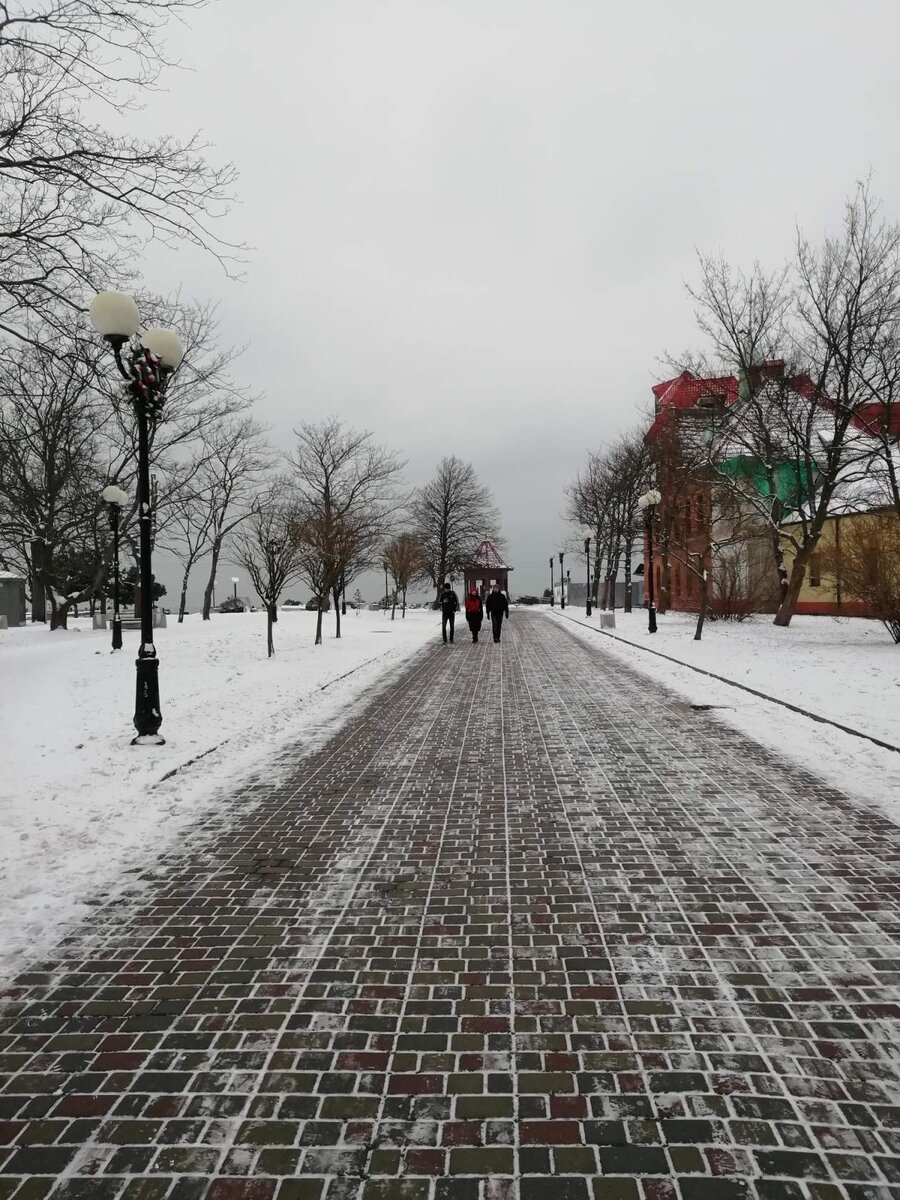 Январь 2019 г.Зеленоградск.Экскурс в прошлое. | Сибирячка в Калининграде. |  Дзен