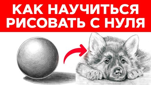 Как научиться рисовать с нуля? || 🧑‍🎨Рисование для начинающих