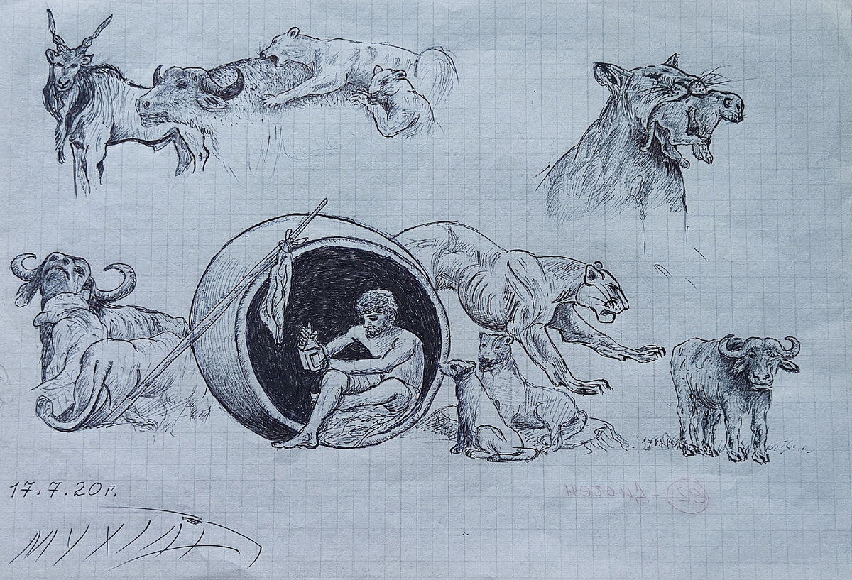 Рисунок Мухтара Гусенгаджиева. Диоген