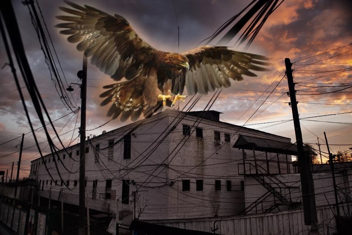 Древо жизни 