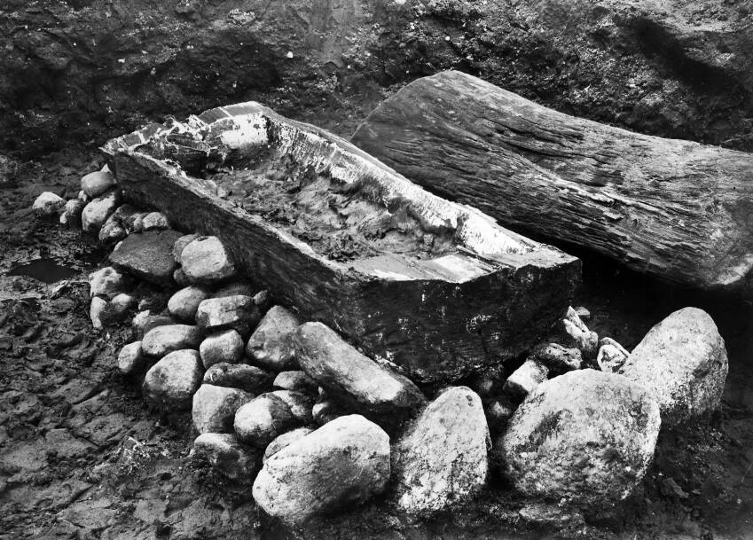 100 лет назад, в 1921 году фермер Питер Платц, живший около Эгтведа (Дания), раскопал на своем поле остатки кургана, в котором находился погреб для хранения картошки.-2