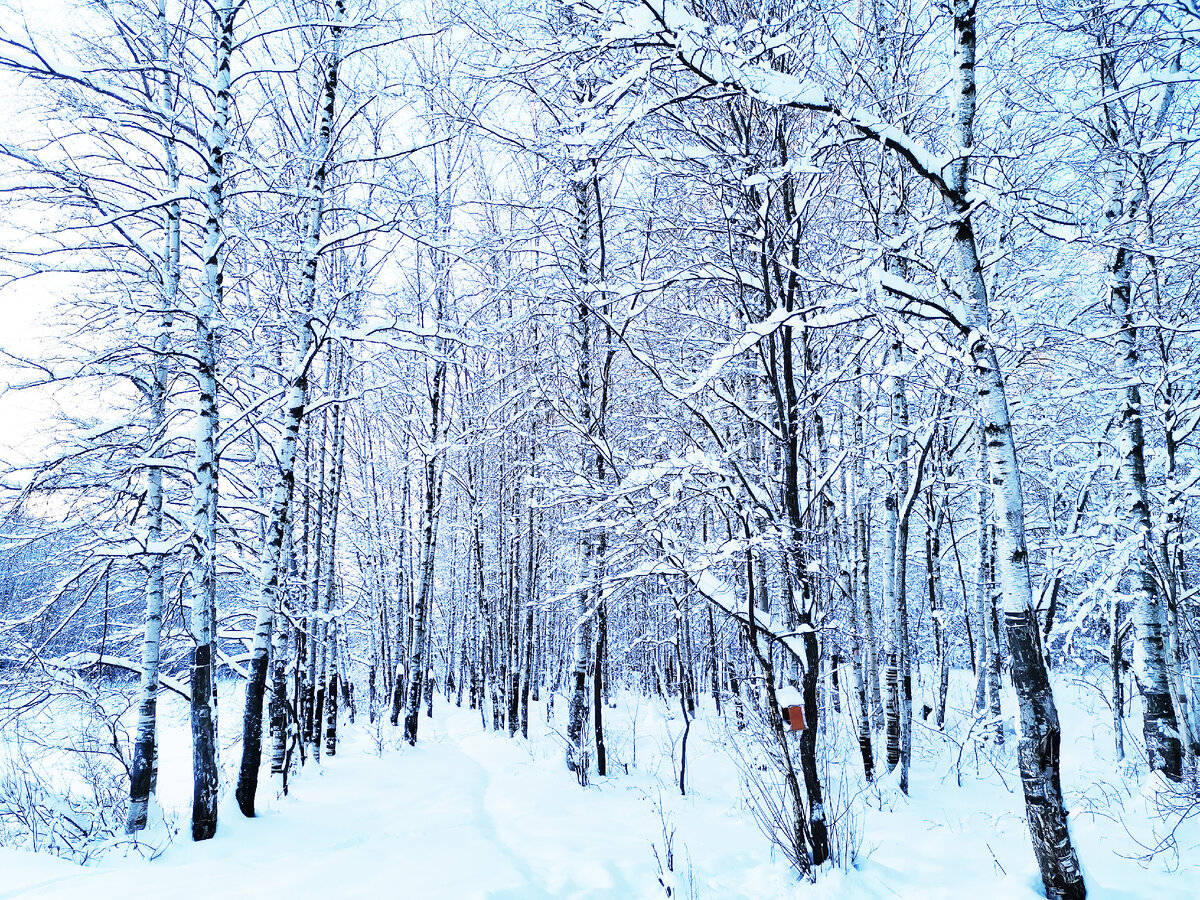 Фото из личного архива