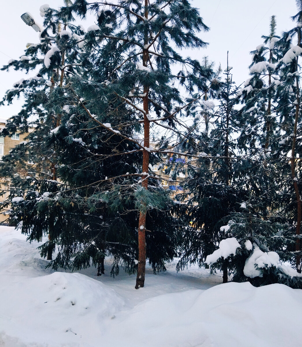 Фото автора, просто так.