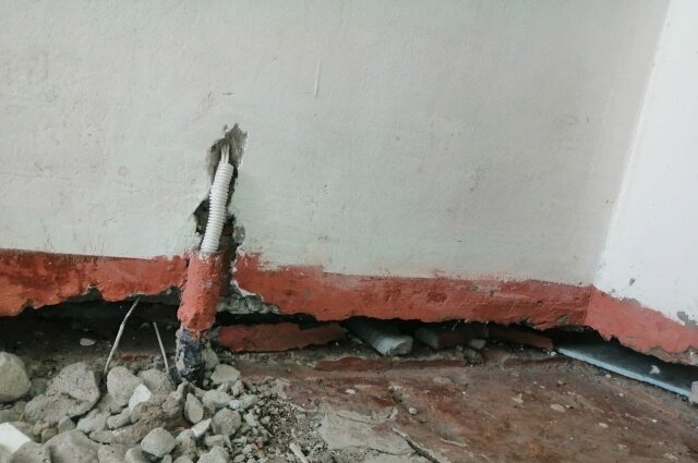    Фото:  АиФ/ Диана Канбекова