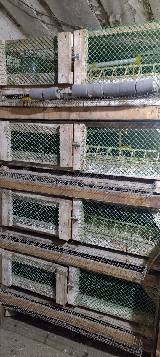 СамодельнаЯ деревянная клетка