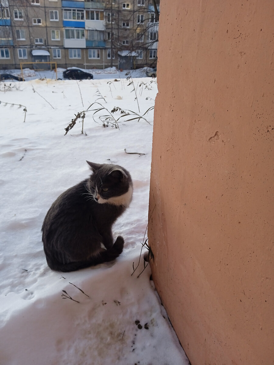 Дым. Самый осторожный. Фото в недавние морозы сделано, раньше не подходил. 