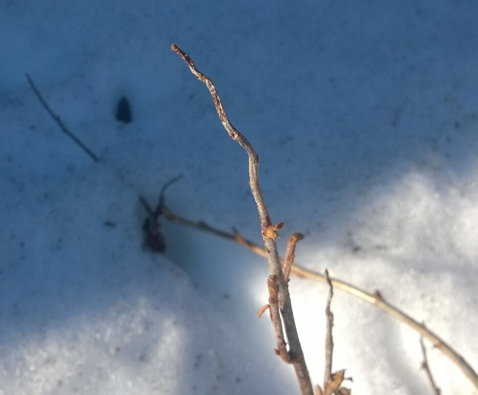 Вот это безобразие - ф топку