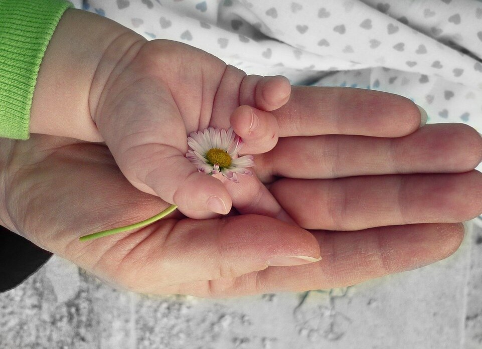 Фото:pixabay.com