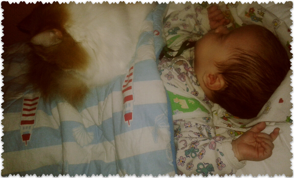 В кроватку конечно не лазил, но если Арсений спал на диване кот всегда ложился рядом.