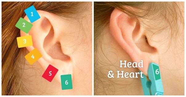 Китайская традиция в действии.  В жизни никуда не деться от боли и усталости. Это нормально: все мы люди и не можем постоянно чувствовать себя идеально. Но вы удивитесь, какой запас здоровья хранят в себе внешние и внутренние органы вашего тела! И этот запас можно высвободить.
Существует интересный и необычный способ управления энергией в теле — рефлексология. Придумали его китайцы, много тысяч лет назад.
Сегодня мы покажем, пожалуй, самую интересную часть этой науки. Вам нужна будет только прищепка и свое собственное ухо!

Почему именно уха? Давайте за нас объяснит рефлексолог Хелен Чинь Луй:
«Каждое ухо в определенном смысле представляет собой полную карту тела: в них заканчивается огромное число нервных окончаний, которые через центральную нервную систему связаны буквально с каждым внутренним органом у вас внутри».
На каждом ухе есть 6 точек, связанных с конкретными частями вашего тела. Зажмите их прищепкой — и тут же ощутите прилив энергии и здоровья!
1. Вершина уха.
Вершина уха напрямую связана со спиной и плечами.
Надавливая на эту точку в течение 1 минуты каждый день, вы сможете ослабить напряжение в этих местах. Особенно актуально для людей, ведущих сидячий образ жизни.
2. Верх ушного изгиба.
Эта точка уха связана с внутренними органами – с каждым по чуть-чуть.
Поэтому, если вы ощущаете внутренний дискомфорт, необъяснимую усталость и нездоровье, просто прицепите прищепку на это место. Вам уже через 20 секунд станет легче (Не забудьте обратиться к врачу, чтобы выявить первопричину дискомфорта).
3. Верхняя середина уха.
Эта часть уха связана с суставами. Надавите на эту точку, чтобы снять боль и усталость суставов после долгого сидения за компьютером.
4. Нижняя срединная часть уха.
Надавливание на нижнюю середину уха принесёт облегчение носу и горлу.
Это очень удобно, когда хочешь выспаться, но не можешь из-за забитого носа.
5. Над мочкой.
Точка над мочкой уха связана с пищеварением.
Прицепив туда прищепку, вы облегчите боль в животе и кишечнике.
Также можно пользоваться этим трюком как профилактическим средством.
6. Мочка.
Эта точка связана с сердцем и головой.
Нажимайте на мочку, чтобы поддерживать здоровье сердца, а также снимать мигрени и головные боли.

