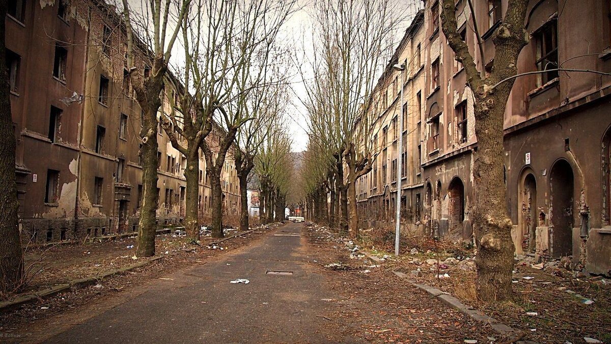 фото из яндекс