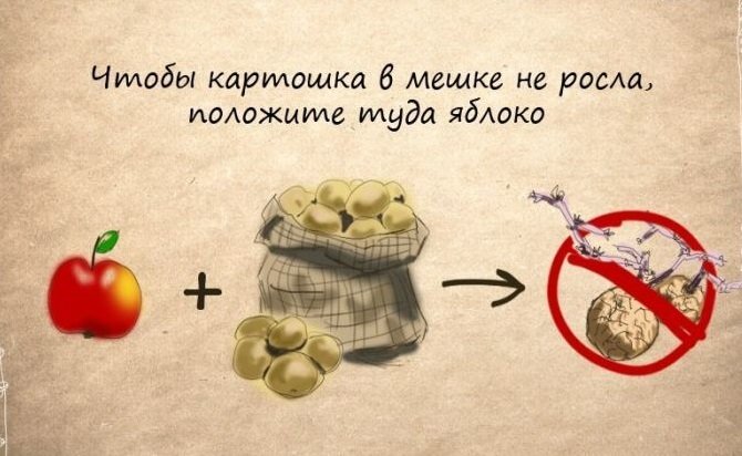 фото из интернета.