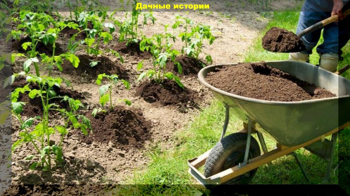 https://vk.com/photo-159774511_457243061