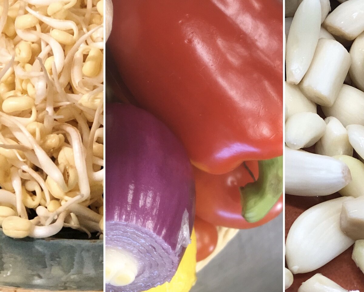 Проростки маша, болгарский перец, красный лук и чеснок.