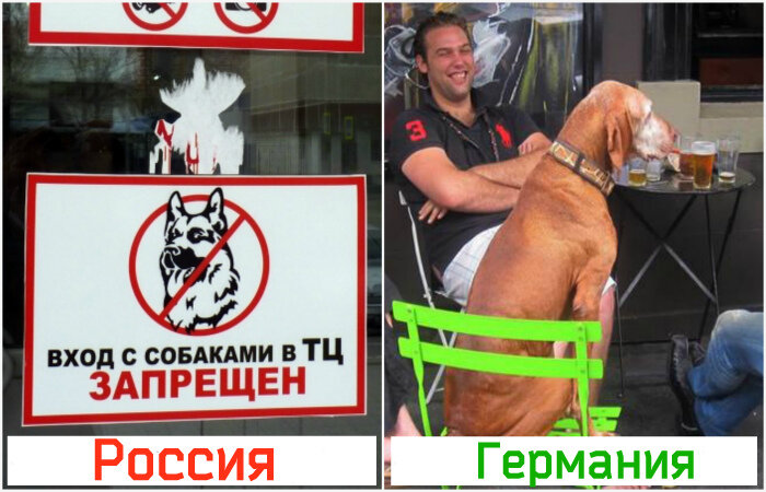 Странные привычки немцев, которые не перестают удивлять приезжих. 