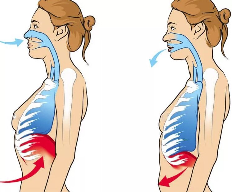 Лучшие дыхательные упражнения. Часть 1. | Физиомануал | Дзен