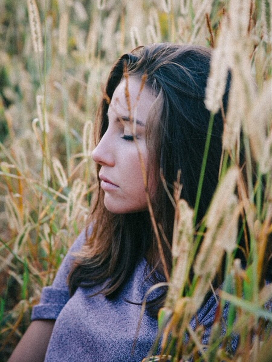 Картинка взята с просторов интернета в свободном доступе 