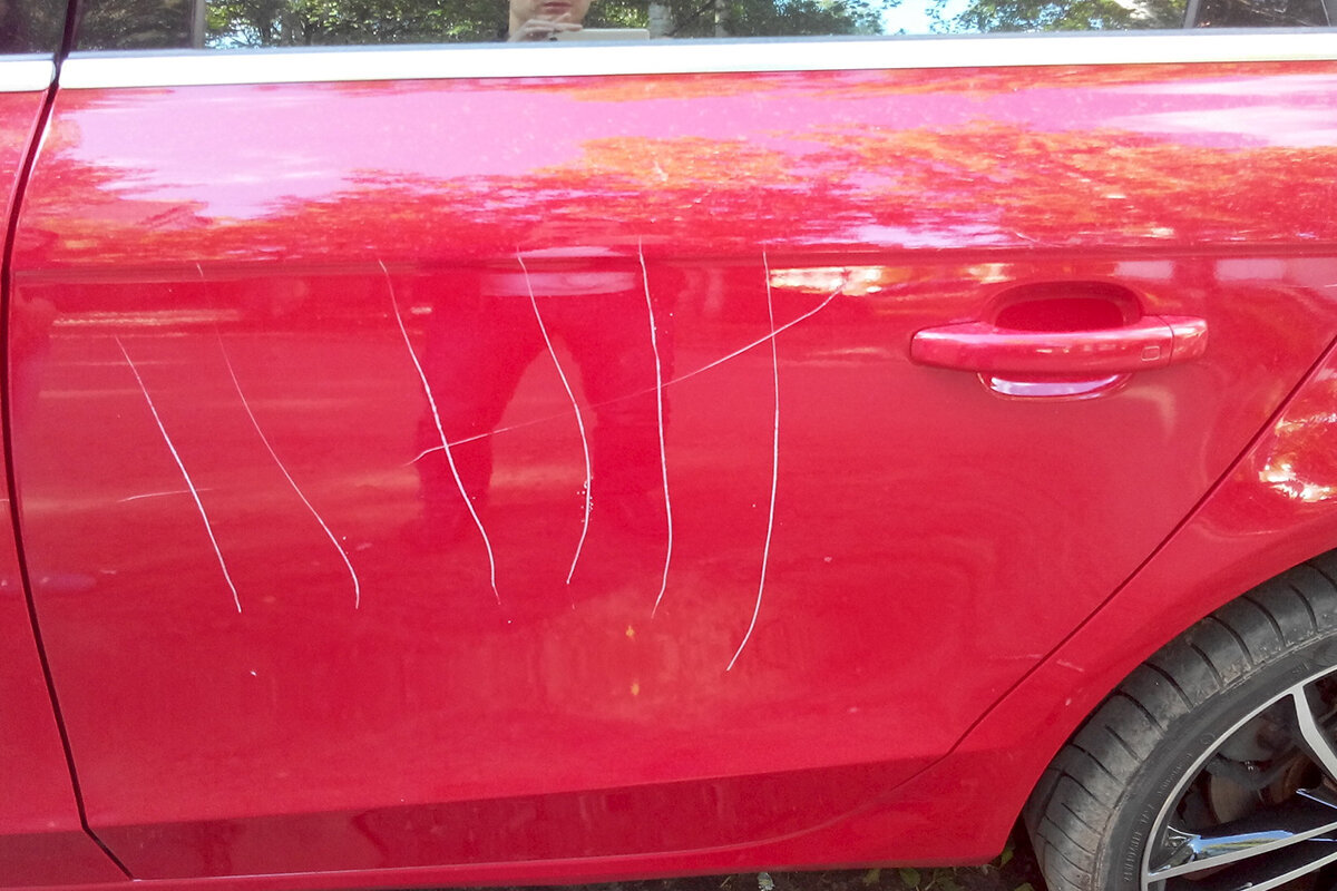 Яндекс. Картинки