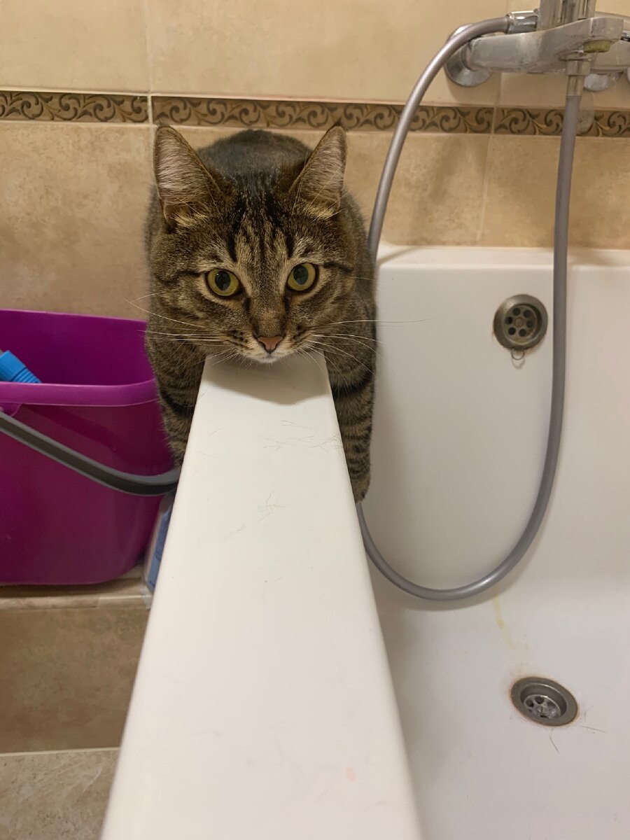 Почему бы нет 