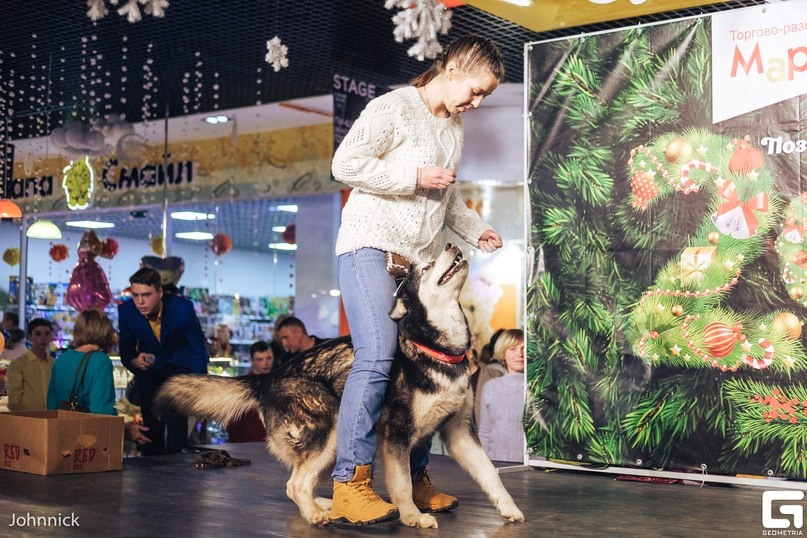 Концентрация с большими раздражителями (выступление в ТЦ города)