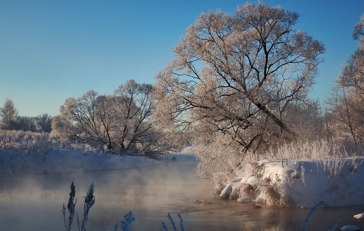 фото яндекс картики