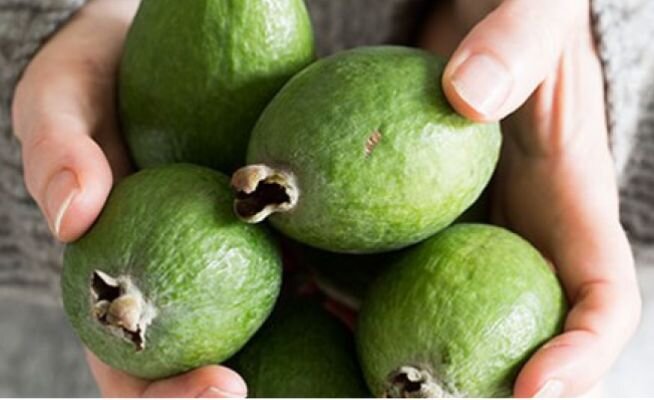  До фейхоа пока не добрался 