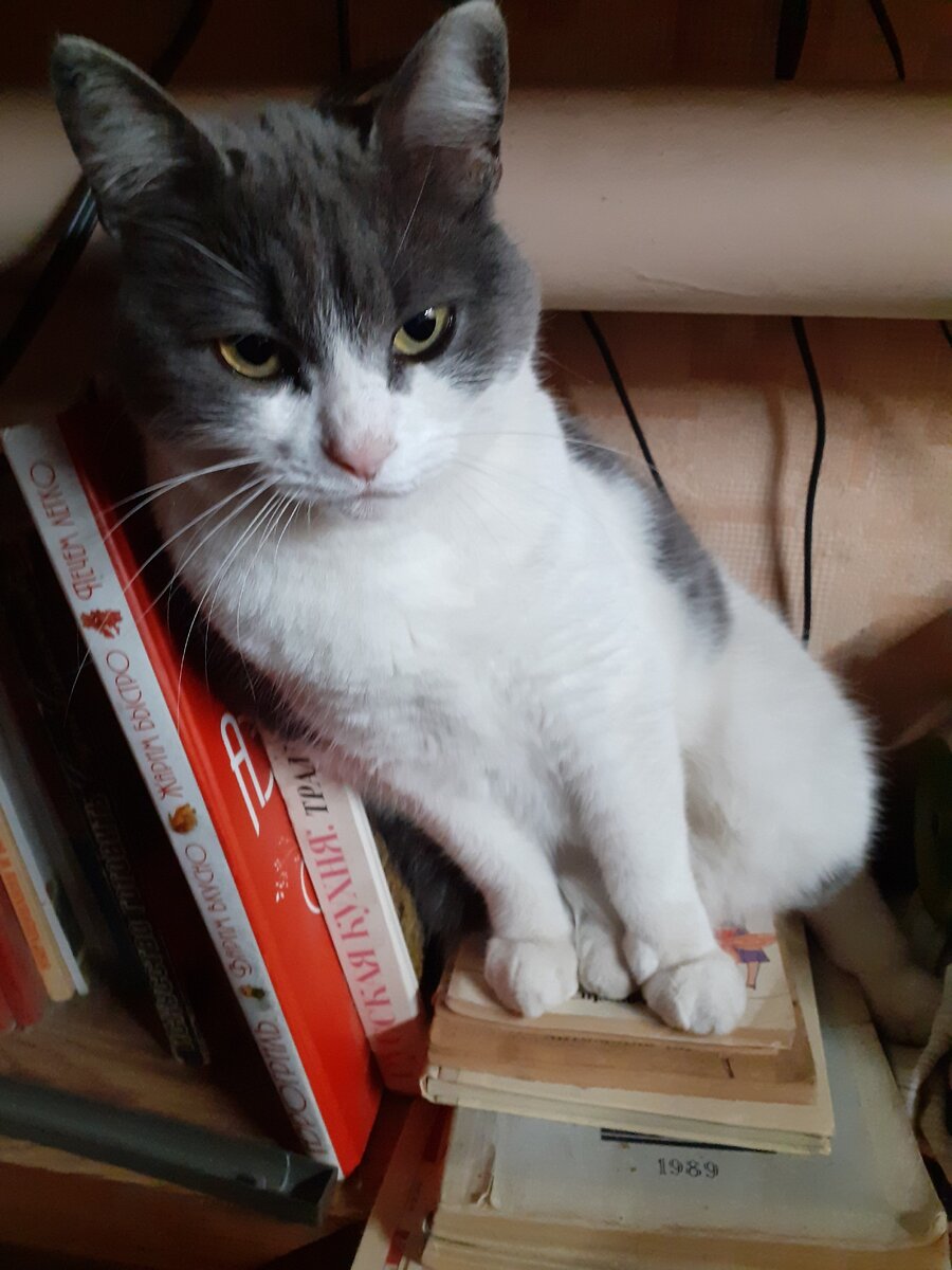 Маруся любит медитировать на речевом  этикете)))