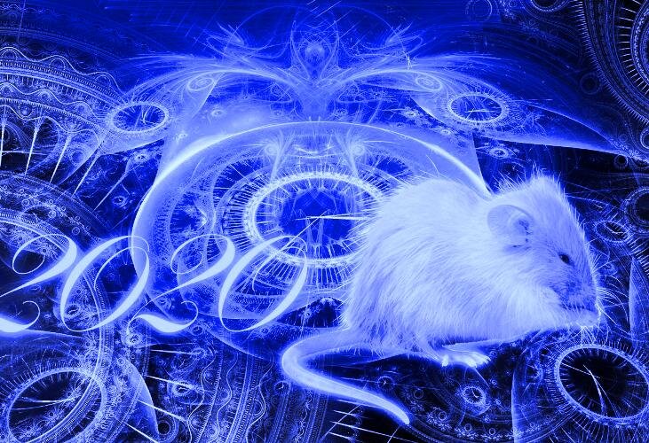 Чем порадует Стрельцов год Белой Крысы