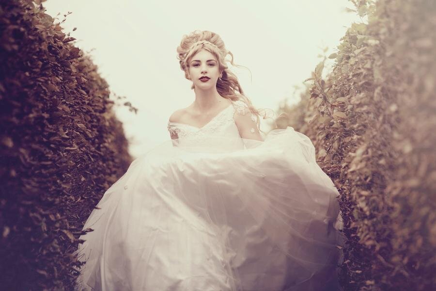 Изображение взято с открытого источника в сети интернет, с сайта: