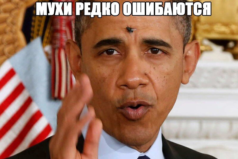 всегда на какашки