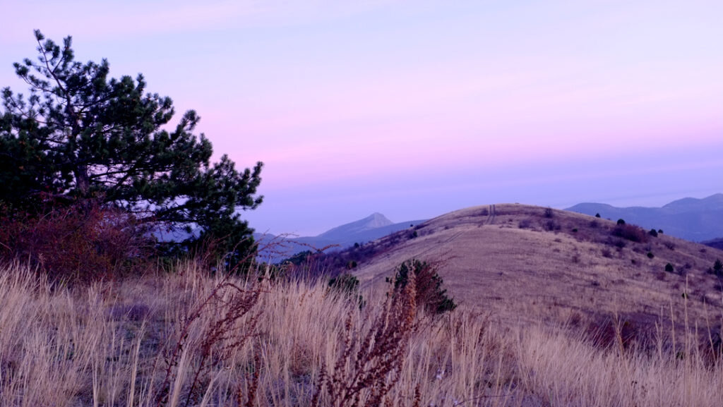 Вид для этюда другой ракурс — фото Наталия Попова — Профессиональный Художник 2019 год