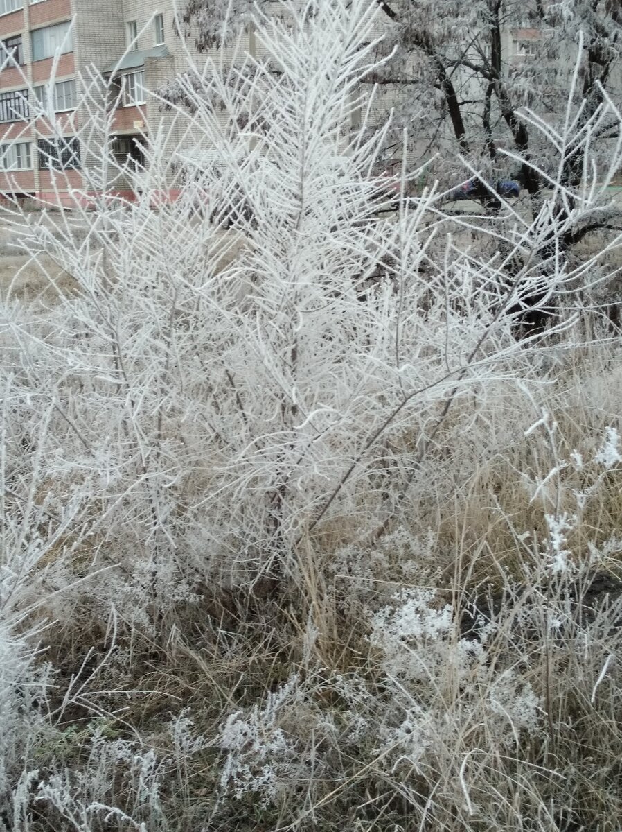 Фотографию сделал сам.