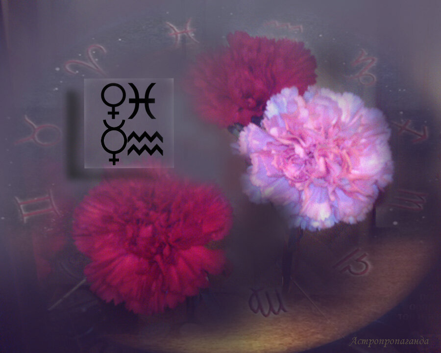 Коллаж Нины Стрелковой.