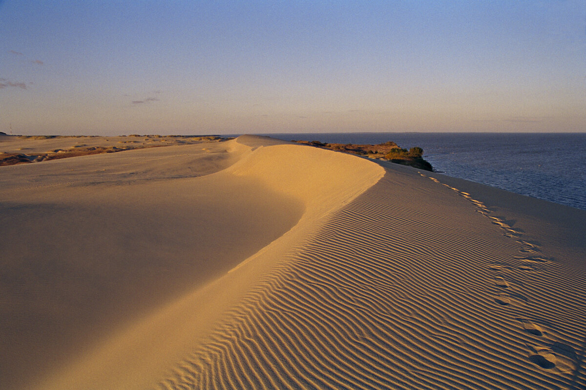 Куршская коса