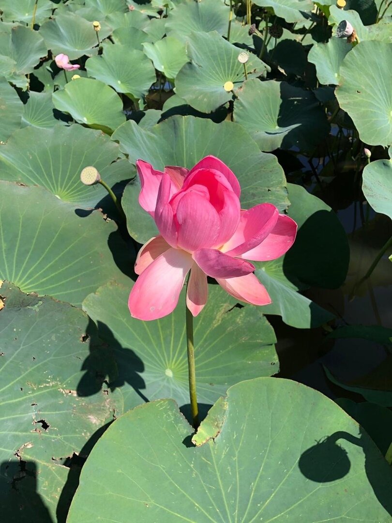 Красота природы 