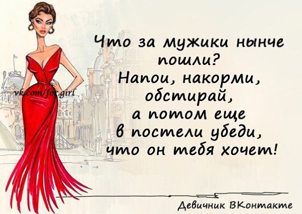 Все изображения взяты из открытых источников