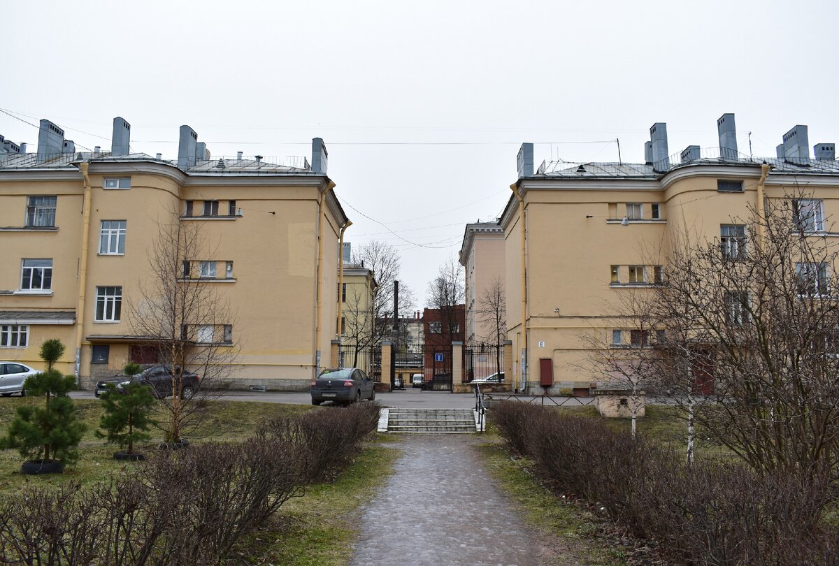 Палевский жилмассив в санкт петербурге