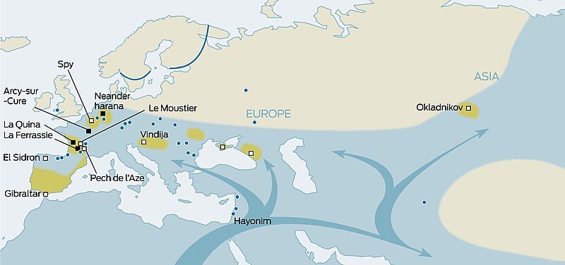 Замена неандертальцев ранними современными людьми