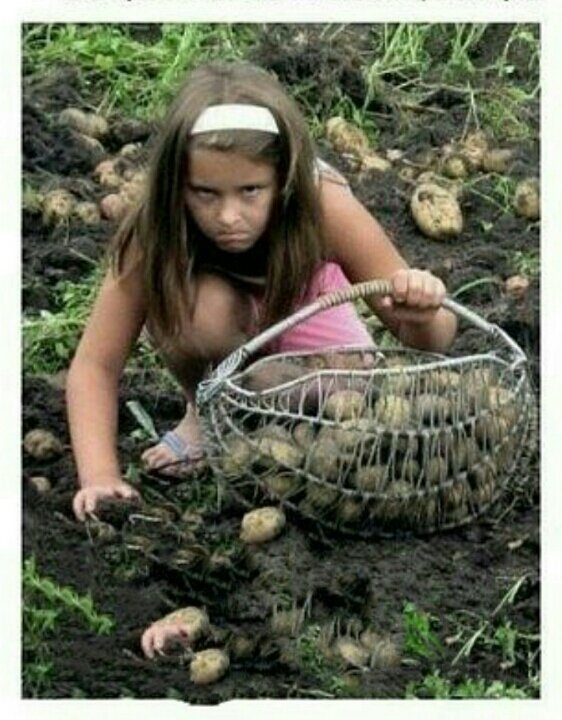 Это не я, просто картинка из интернета